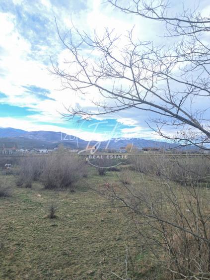 Teren extravilan de vânzare – 500 mp – Tălmaciu, zonă apropiată de intravilan - 12