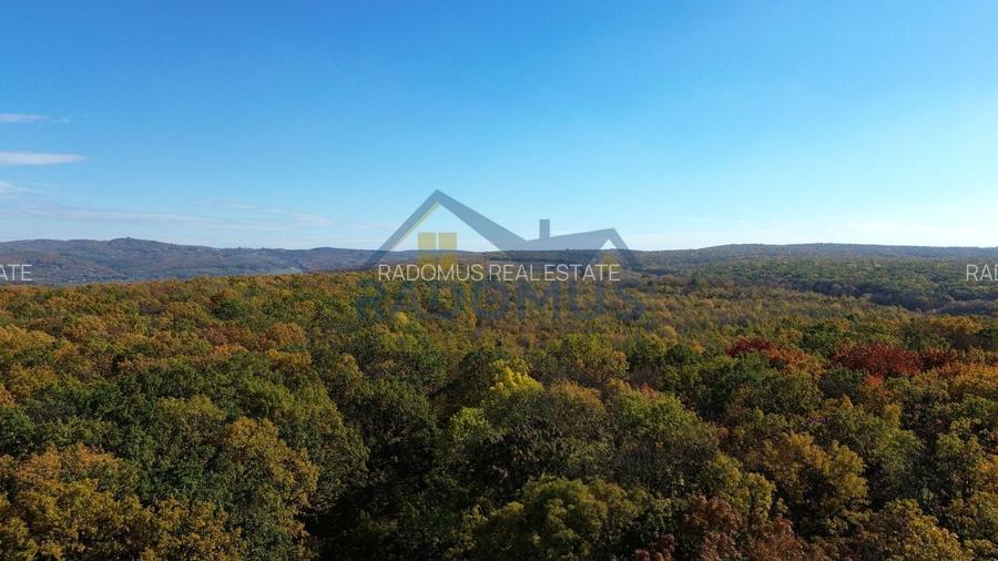 TEREN INTRAVILAN ÎN PĂDURE LA VĂRBILA - PRAHOVA – COMISION 0% - 5