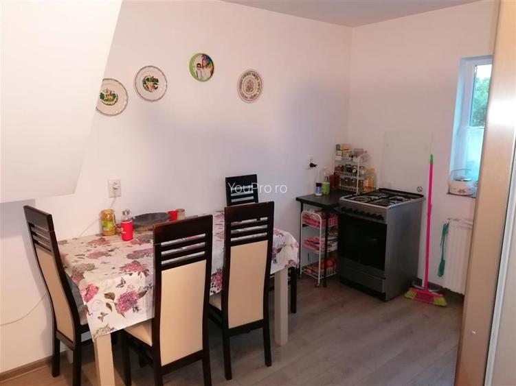 Vila Individuala Sinmihaiul Roman - 19