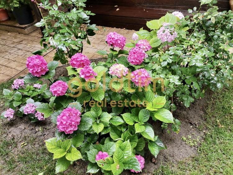 IANCU NICOLAE/ GRADINA SUPERBA/LOCURI DE PARCARE/SPATII GENEROASE - 49