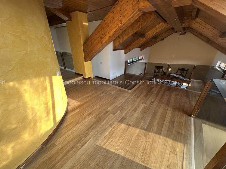 Proprietate cu piscina Dumbravita - 25