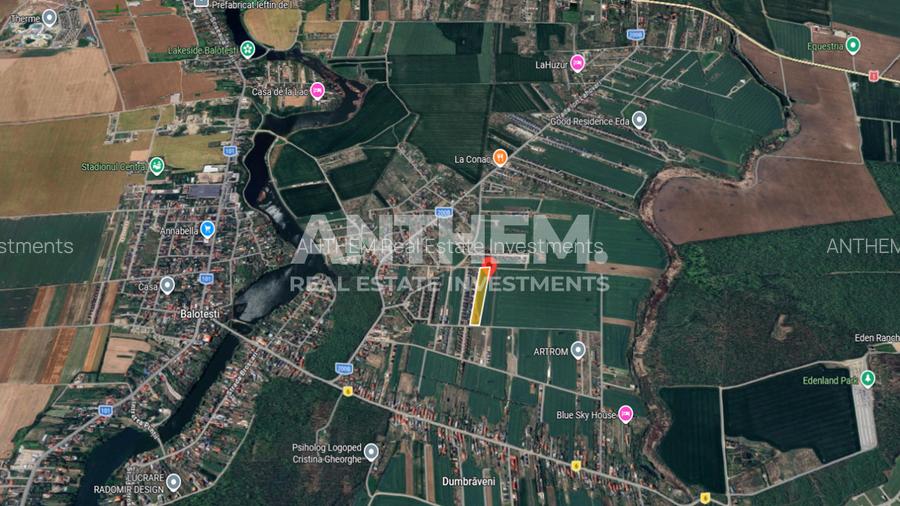 Teren 10.000mp parcelat Balotesti - 3