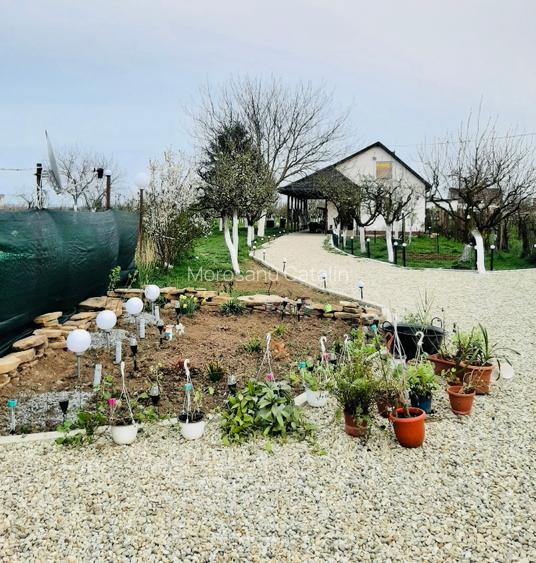 Casă și teren intravilan in zona industriala pentru investiții  - 4