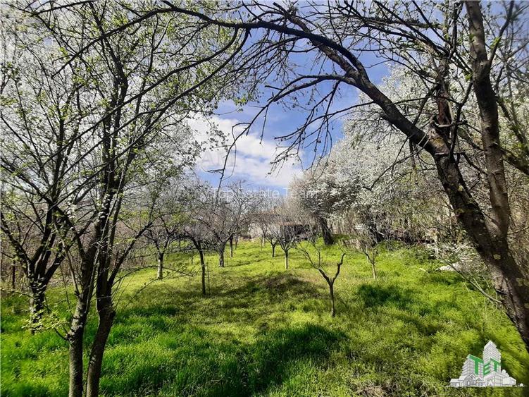 Teren 1274 mp cu livada si casa veche Primarie Bragadiru - 23