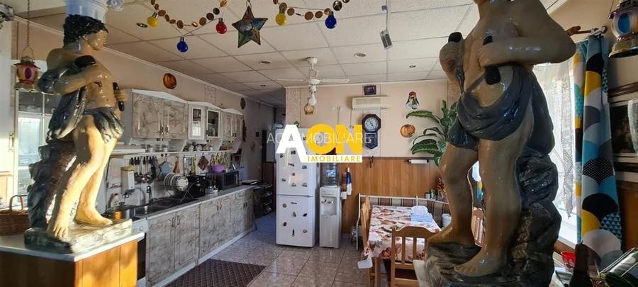 Casa de vanzare 5 camere 320 mp teren Centru zona Prefecturii - 3