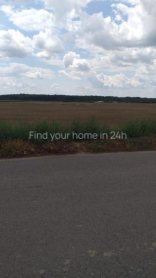 2 loturi Ciolpani-Izvorani intravilan total 5000mp - 4