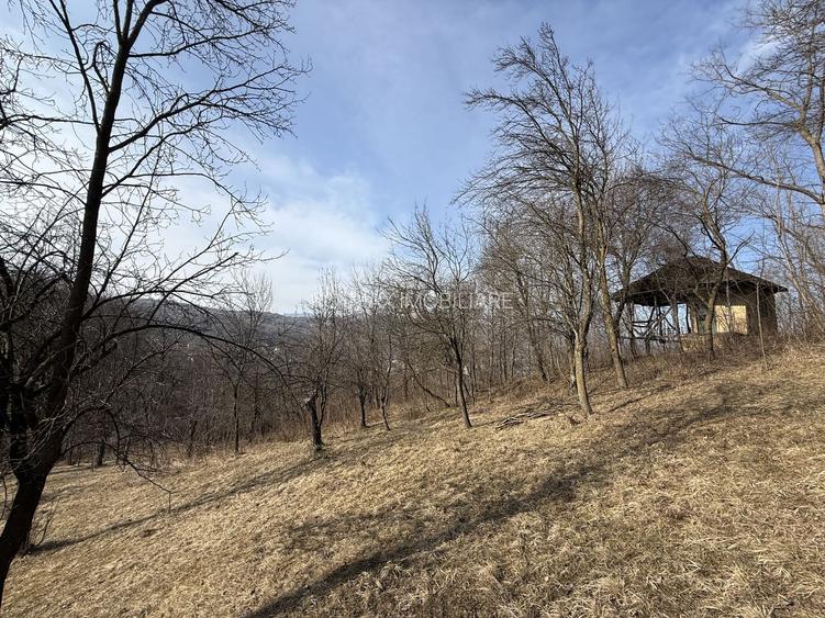 Teren intravilan 2788 mp deschidere 55 ml cu vedere panoramica ! - 14