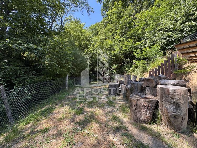 Casa din lemn, zona muntoasa, cu rau, la cheie, Ribita, Hunedoara