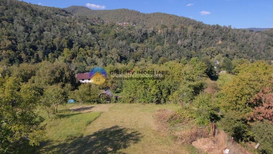 Casa tradițională de vânzare - Alexandru cel Bun - 6