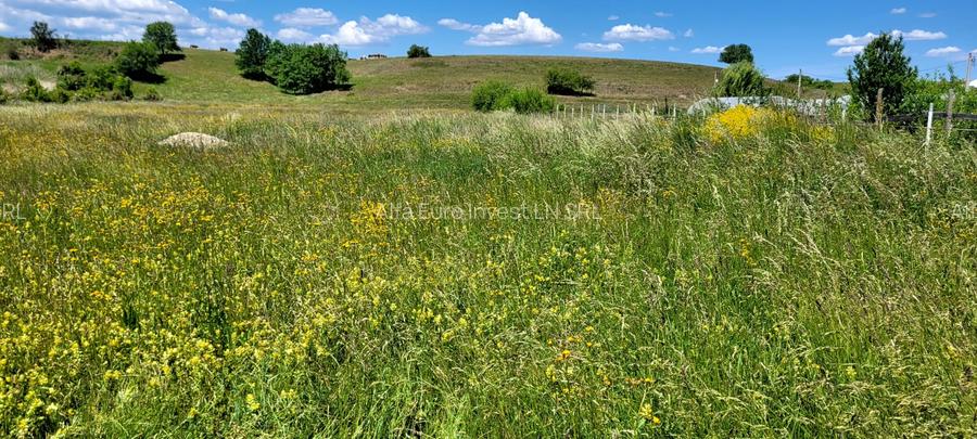 Teren Intravilan de vanzare - 2