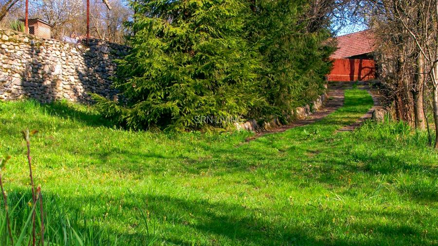 Domeniu exclusivist cu izvor propriu – Cheile Turzii / Munții Apuseni - 2