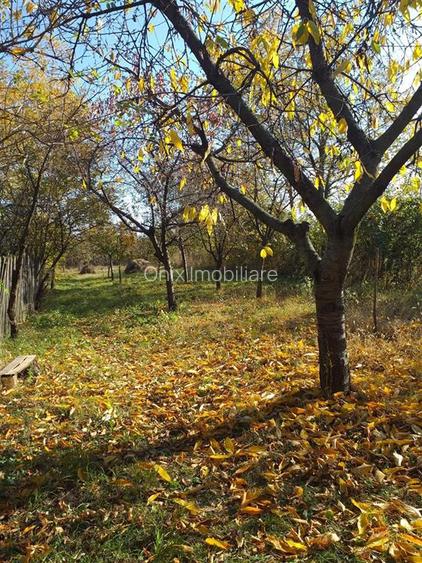 Casa de vanzare in Cocorastii Caplii la 7 KM de Campina - 14