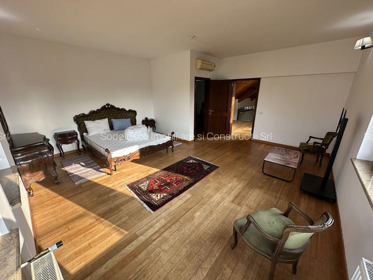 Proprietate cu piscina Dumbravita - 16