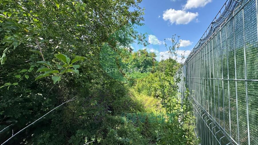 Teren 16534 mp pentru dezvoltare rezidențială, Siliștea Snagovului - 6