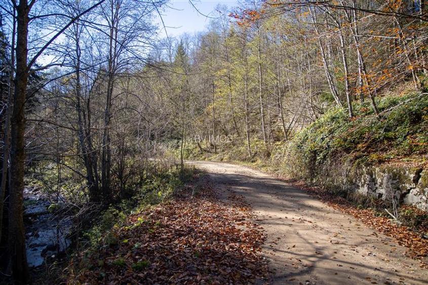 Teren de Vis langa Siriu  – 20000 mp ideal pentru Complex turistic Comision 0% - 24