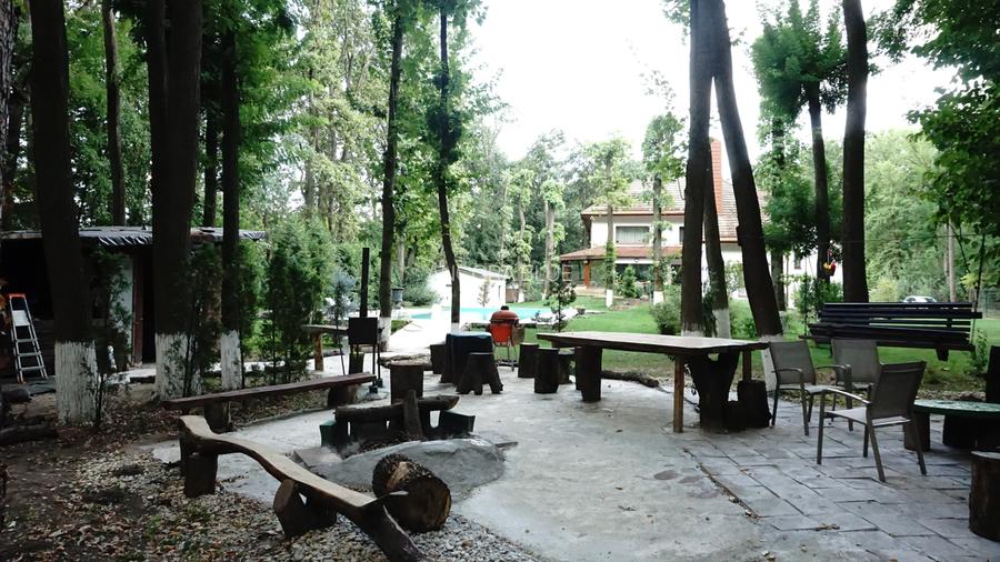 Vila superba in Padurea Baneasa, curte 5000 mp, piscina exterioara - 41