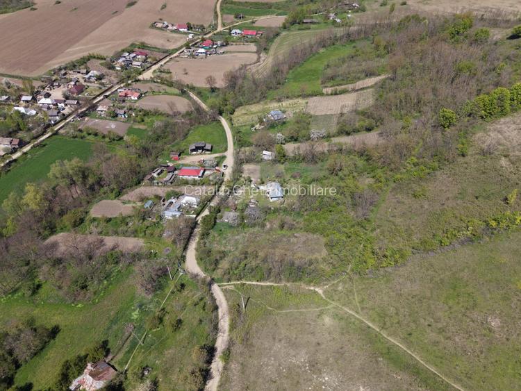 Teren de vanzare + casa in Gorghesti, Bacau – 7.391 mp, zona linistits de deal - 4