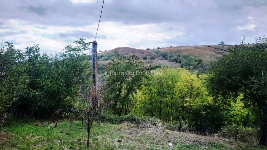Proprietate în zonă de deal în localitatea Zărnești, la 20km de orașul Buzău - 3