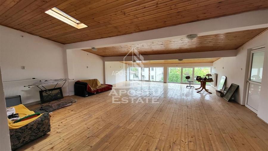 Casa ideala pentru birouri/alte activitati Mehala - 16