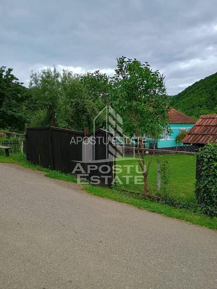 Casa batraneasca de vanzare, 4 camere, in Hunedoara, sat Micanesti - 15