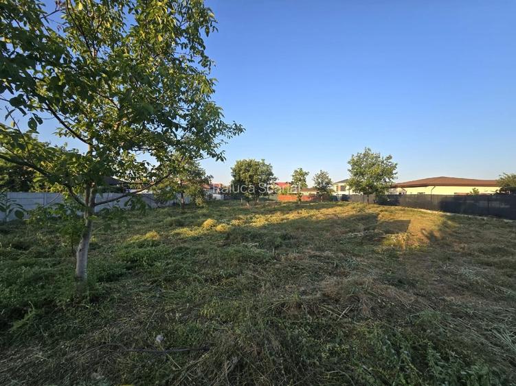 2 terenuri de 1250 mp fiecare  - 6