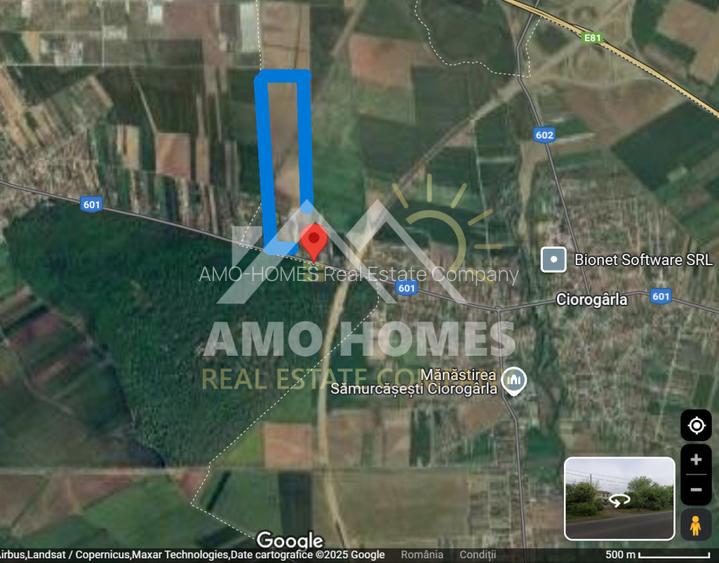 OPORTUNITATE -Teren de Vis la Marginea Pădurii – 5000 mp în Ciorogârla - 2