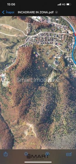 Teren 550 mp Dambul Morii - 4