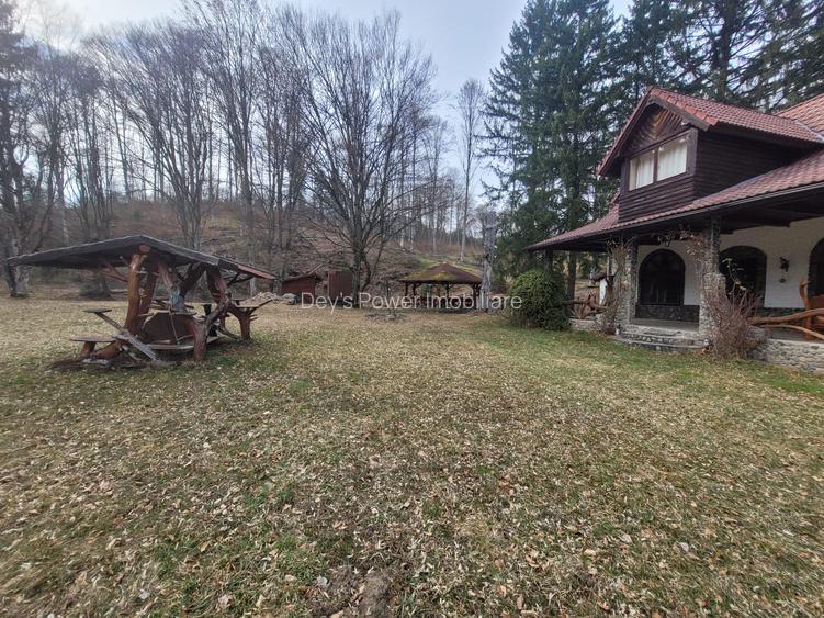 Cabana de vanzare ,Valea Avrigului/ 3000 mp/Langa padure - 4