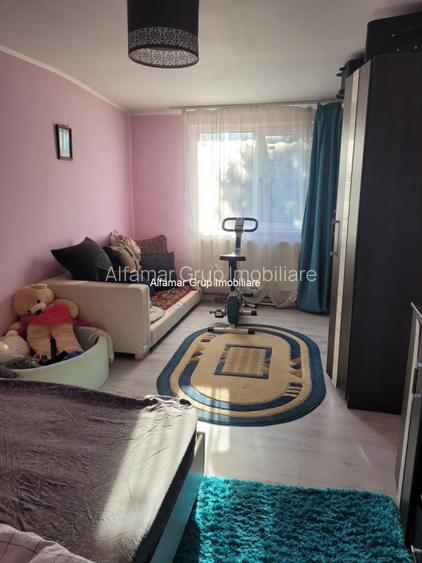 Vanzare proprietate cu 2 case Zurbaua- Dragomiresti Vale - 5