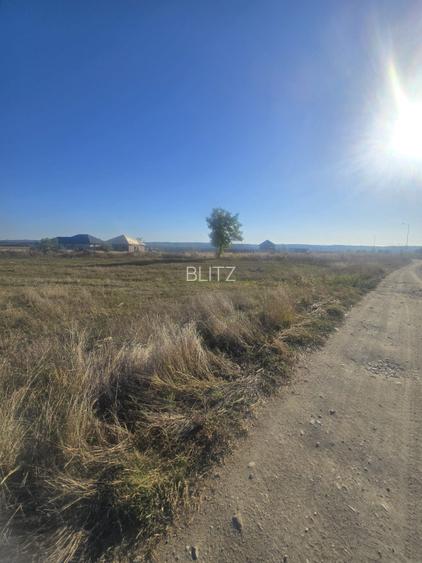 Teren 1000mp ,la intrarea in Filiasi - 4