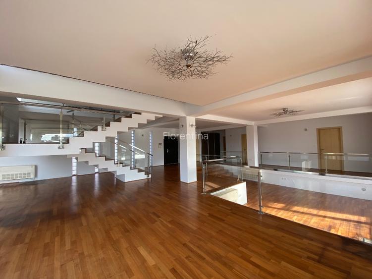Proprietate premium reprezentativă cu utilizare mixtă, 650 mp si teren 3000 mp - 7