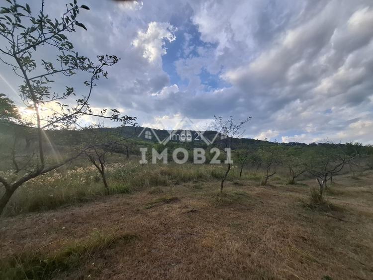 Teren spectaculos cu padure, livada si priveliste panoramica in Soimari PH - 8