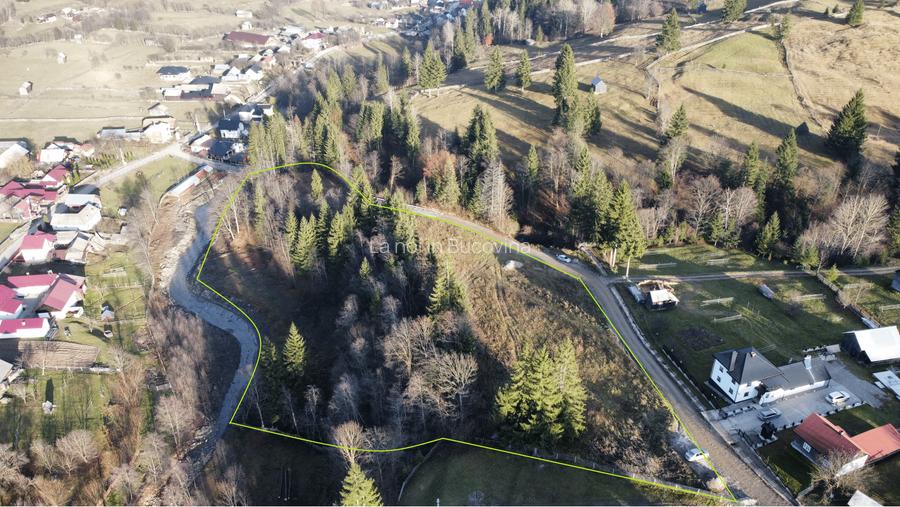 Vindem teren 14927 mp Vatra Moldovitei - Bucovina si parcelam in doua - 2