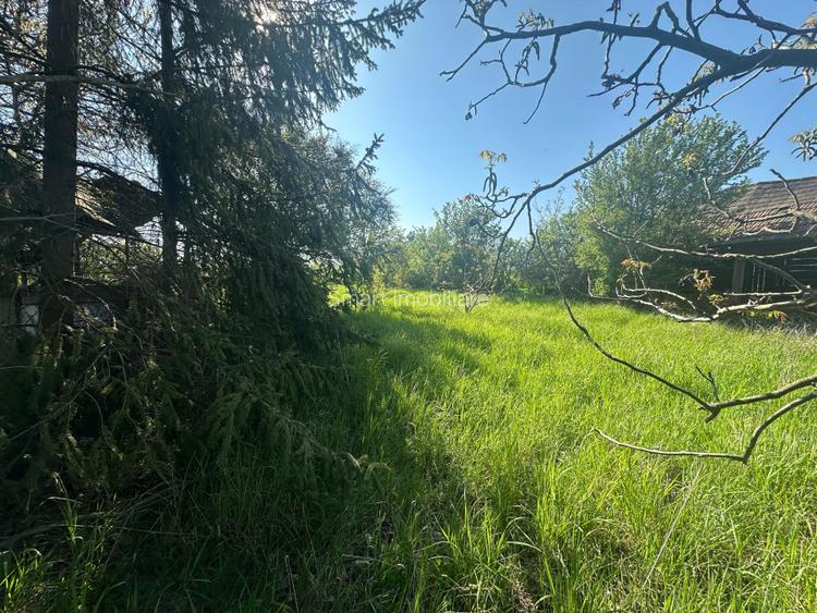 Casa Individuala Ozun Covasna teren 3200 mp - 15