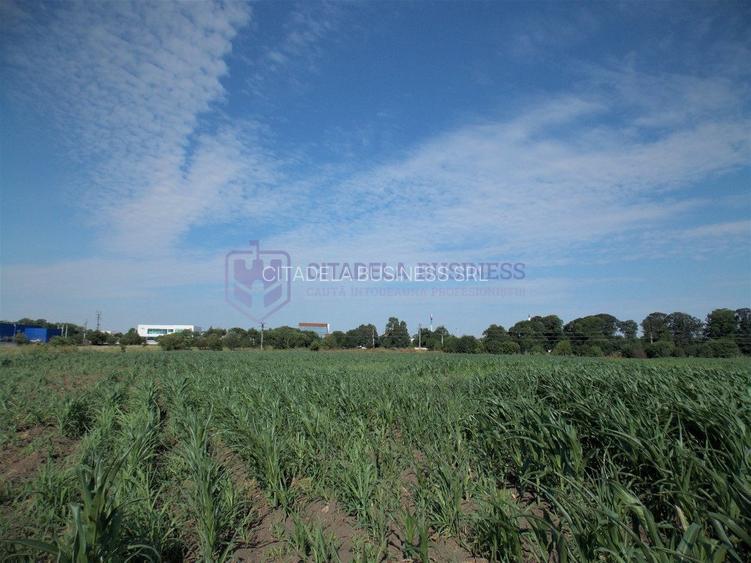 LAZU - Teren intravilan 1500 mp, cu deschidere la DN39! - 8