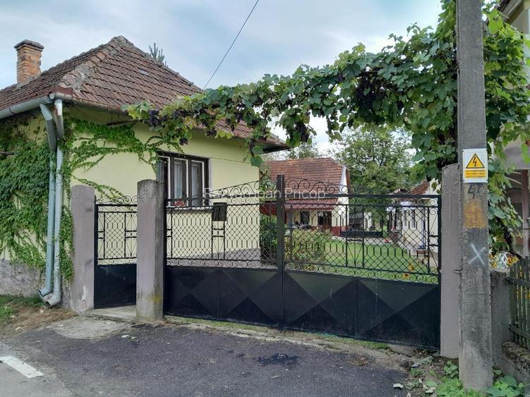 🏡 Oportunitate Unică pe Via Transilvanica | Domeniu superb cu 2 CASE și Grădină - 13