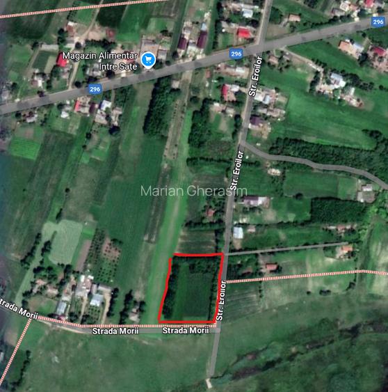 Vând teren intravilan 4.725 mp – comuna Roma, jud. Botoșani - 8