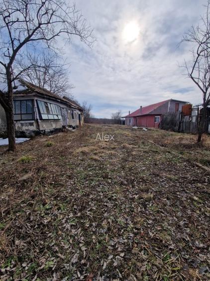 Teren de vanzare sat HARSA, Prahova - 3