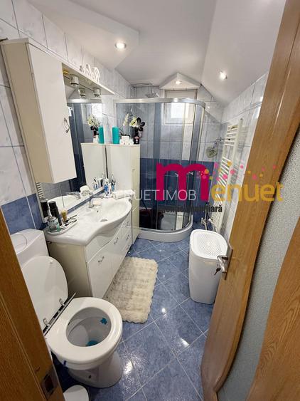 Apartament 2 camere,str.Isaccei,renovat total - 6