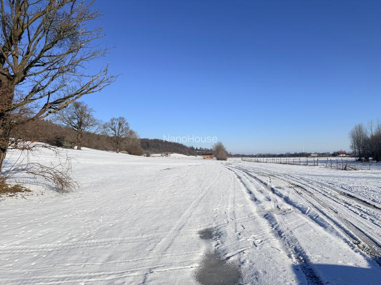 Teren de vanzare pentru investitie - 3