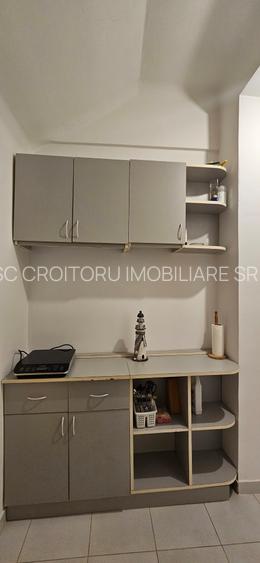 Zona Garii de Nord – Berzei – inchiriere Garsoniera in Vila ! Centrala - 9