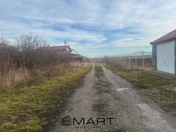 Teren Intravilan 1105 mp Sanpetru - 2