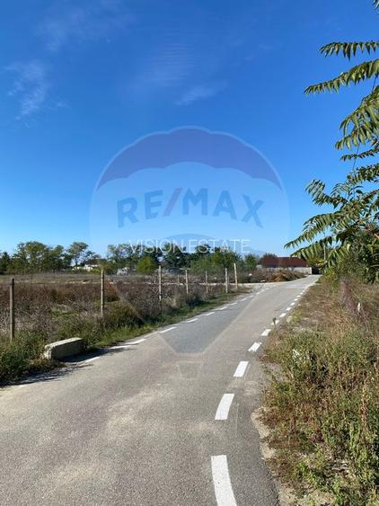 Teren 2,500mp Malu Mare / Strada Bisericii - 6