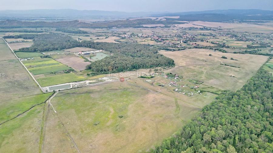 Teren Extravilan - 19