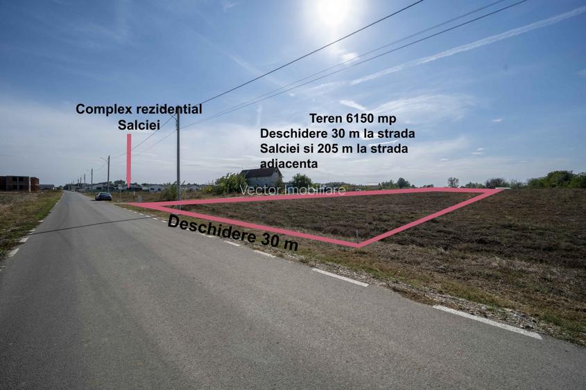 Teren 6000mp*Domnesti*Salciei-Haltei-Ciocarliei*Drum asfaltat cu utilitati - 2