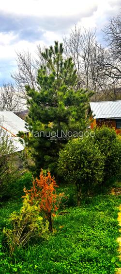 Casa Breaza 116Mp , teren 2500Mp ,zona de deal superba - 5