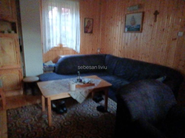 CASA DE VACANTA LA DOMENIUL SCHIABIL SUREANU LUNCILE PRIGOANEI - 5