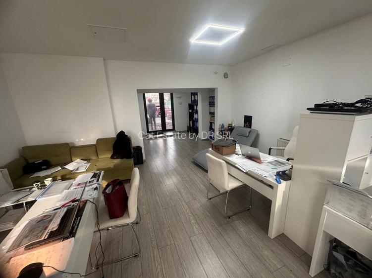 SAD zona Lipovei Dedeman - 2