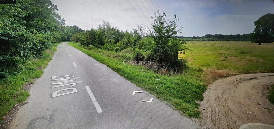 Padure de vanzare zona Comuna Draganesti sat Hatcarau - 2