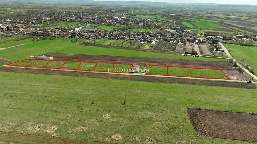 RECO, teren intravilan, Ineu,Bihor - 3
